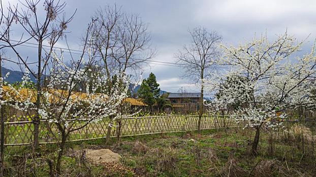 桃花潭风光