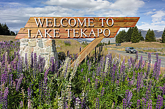 标识,欢迎,泰卡泊湖,南岛,新西兰