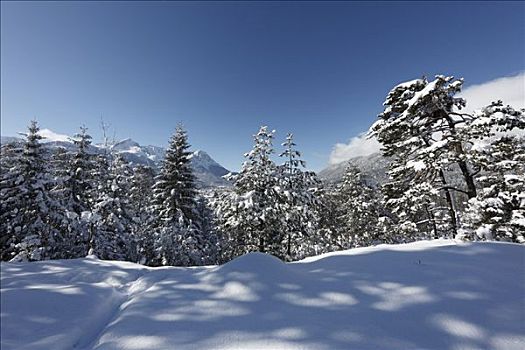 冬天,山林,高处,加米施帕藤基兴,远景,山,楚格峰,陆地,上巴伐利亚,巴伐利亚,德国,欧洲