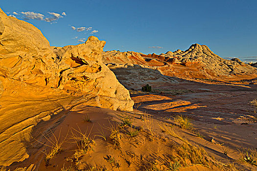 沙岩构造,白色,弗米利恩崖,国家纪念建筑,亚利桑那,美国