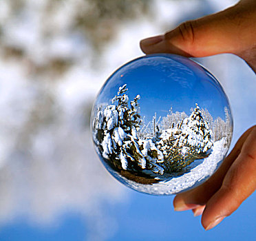 雪景球里面的液体图片