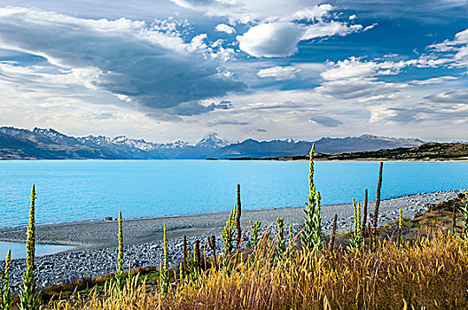 青绿色,普卡基湖,正面,库克山,后面,普卡基,坎特伯雷地区,南岛,新西兰,大洋洲