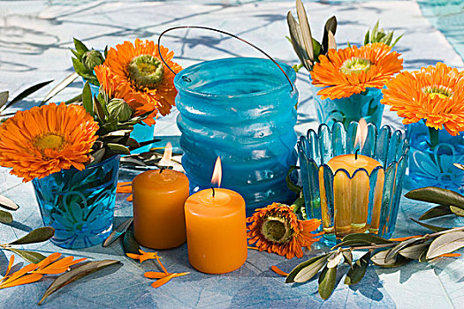 万寿菊,橄榄,嫩枝,蓝色,蜡烛