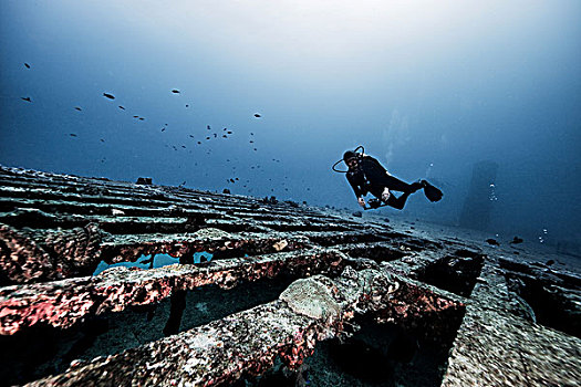 潜水,探索,失事船舶,水下视角,坎昆,墨西哥