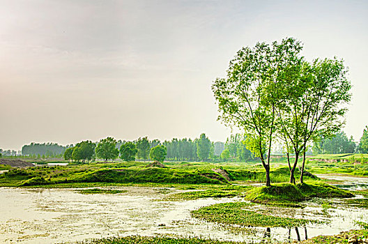 河流和生态湿地
