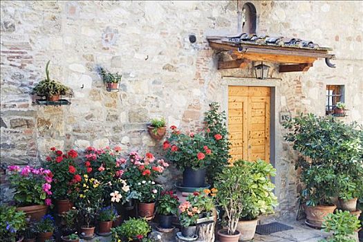 盆栽,户外,建筑,托斯卡纳,意大利