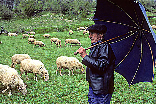 法国,阿基坦,山谷,牧羊人