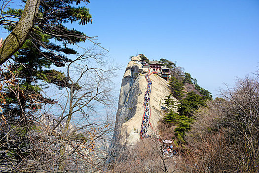 华山春日盛景