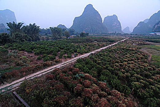 风景,热,空气,气球,上方,橙色,小树林,阳朔,桂林,亚洲