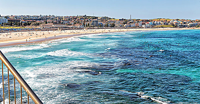 澳大利亚,海滩,游客,冲浪
