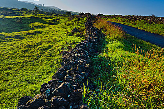 石墙,土地,毛伊岛,夏威夷,美国