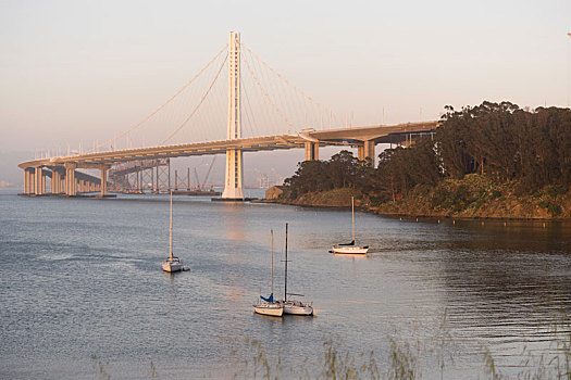 快船,小湾,海湾大桥,旧金山,金银岛,加利福尼亚