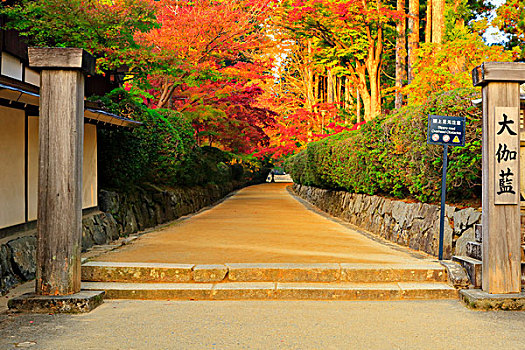 庙宇,高野山