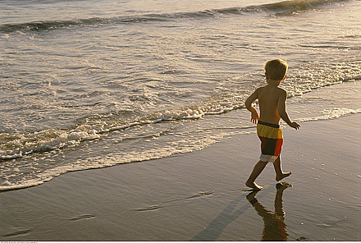 男孩,泳衣,走,海滩