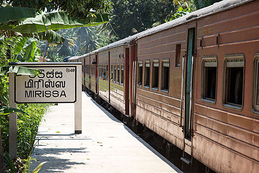 列车,月台,地区,南方,省,斯里兰卡,亚洲