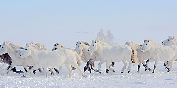 西乌旗冰雪节