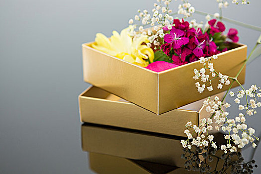 打开,礼盒,花,黑色背景,背景