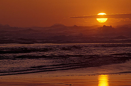 日落,上方,海洋,岬角,失望,州立公园,华盛顿,美国