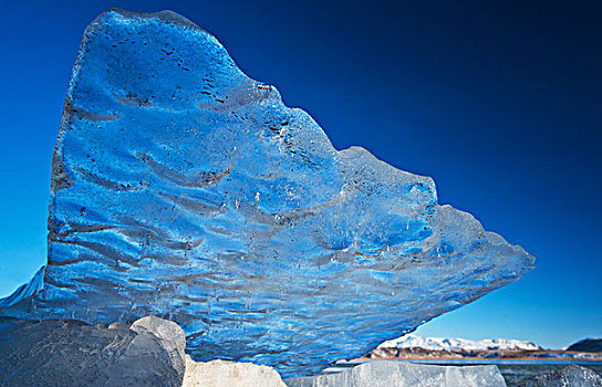 冰层,岬角,戴尔赫拉伊,洞,南,冰岛