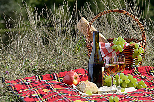 葡萄酒,奶酪,面包,水果,户外,野餐,概念