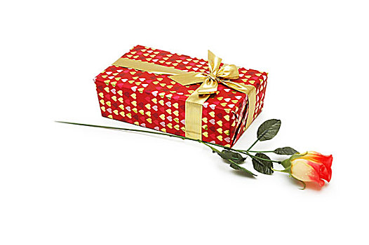 玫瑰,礼盒,隔绝,白色背景