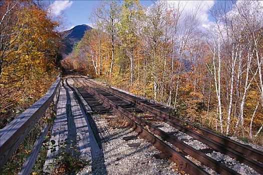景色,秋天,风景,铁路,怀特山,新罕布什尔,美国