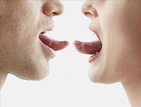 伴侣,接触,舌头