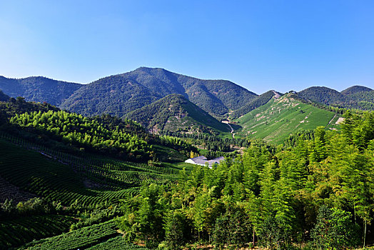 湖州妙西镇暮霞山茶山