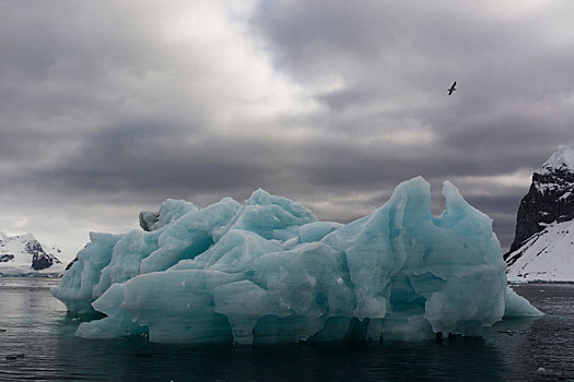 蓝色,冰山,乌云,斯匹次卑尔根岛,斯瓦尔巴特群岛,挪威