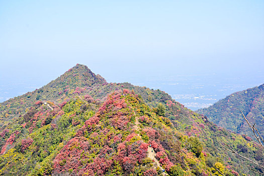 秦岭的秋