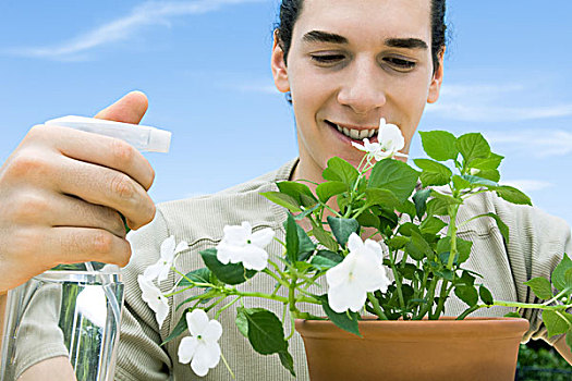 男青年,凤仙花属植物