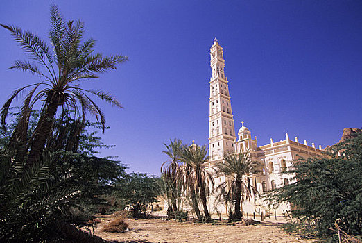 也门,旱谷,哈德拉毛,清真寺
