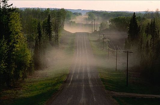 乡村道路,艾伯塔省,加拿大