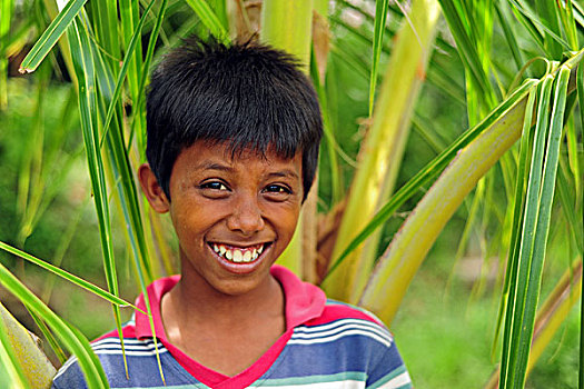 indonesia,sumatra,banda,aceh,portrait,of,young,boy,amid,green,dense,vegetation