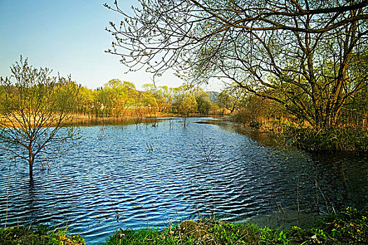 美景,乡村,自然