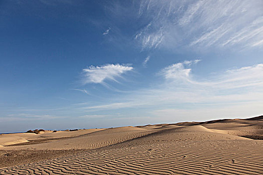 沙丘,加纳利群岛,西班牙