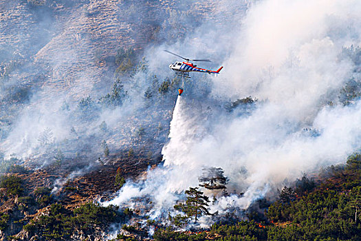 直升飞机,水,森林火灾,提洛尔,奥地利,欧洲