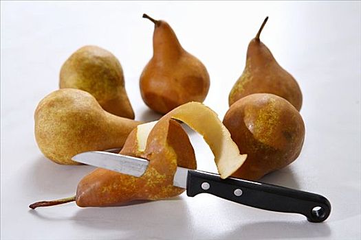 梨,品种,刀