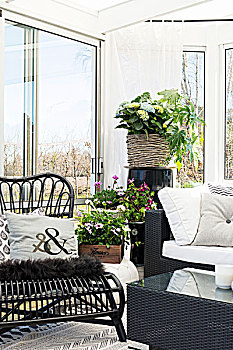 开花植物,柳条椅,角,舒适,温室,风景,花园