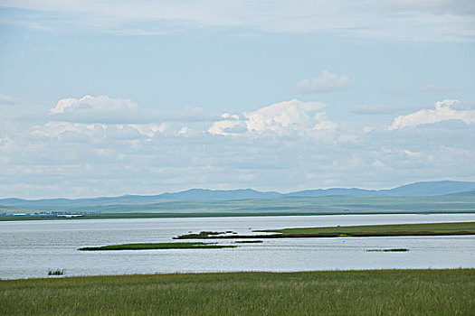 内蒙古呼伦贝尔满洲里根河湿地