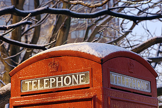 英格兰,伦敦,伦敦南岸,上面,积雪,红色,电话亭