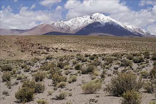 风景,火山,乌尤尼,高地,玻利维亚
