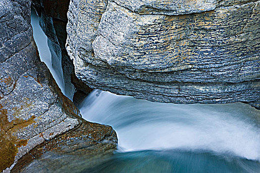 河,峡谷,班芙国家公园,艾伯塔省,加拿大