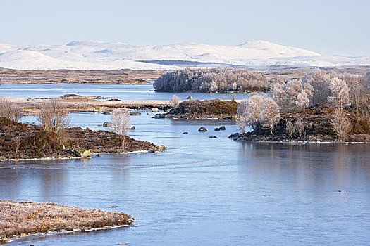 冰冻,湖,兰诺克沼泽,苏格兰