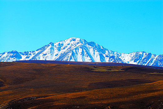 祁连雪山