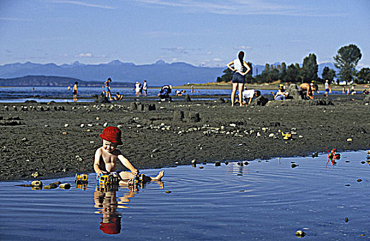 海滩,男孩,温暖,蓄潮池,温哥华岛,不列颠哥伦比亚省,加拿大