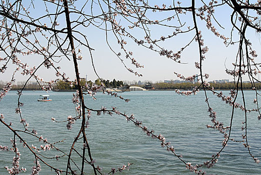 颐和园昆明湖的春天