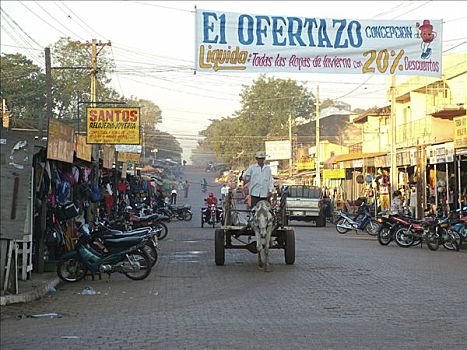 特色,道路,运输,马车,市场,巴拉圭