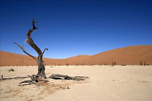 死亡谷,纳米比亚,非洲