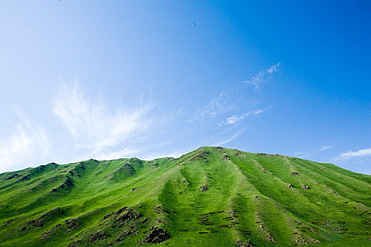 新疆伊犁地区-乔尔玛